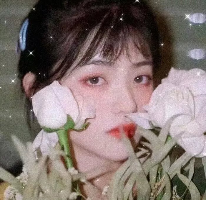 舞狮人传奇