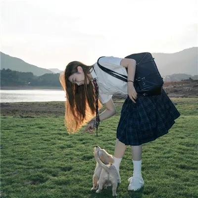 路上有狼